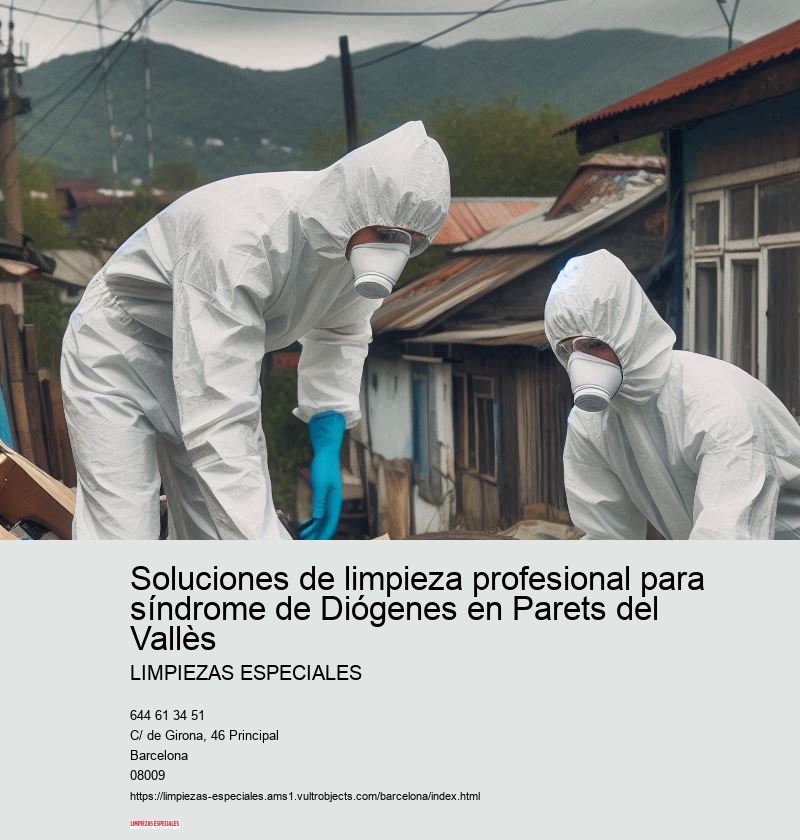 El papel de los servicios sociales en el síndrome de Diógenes