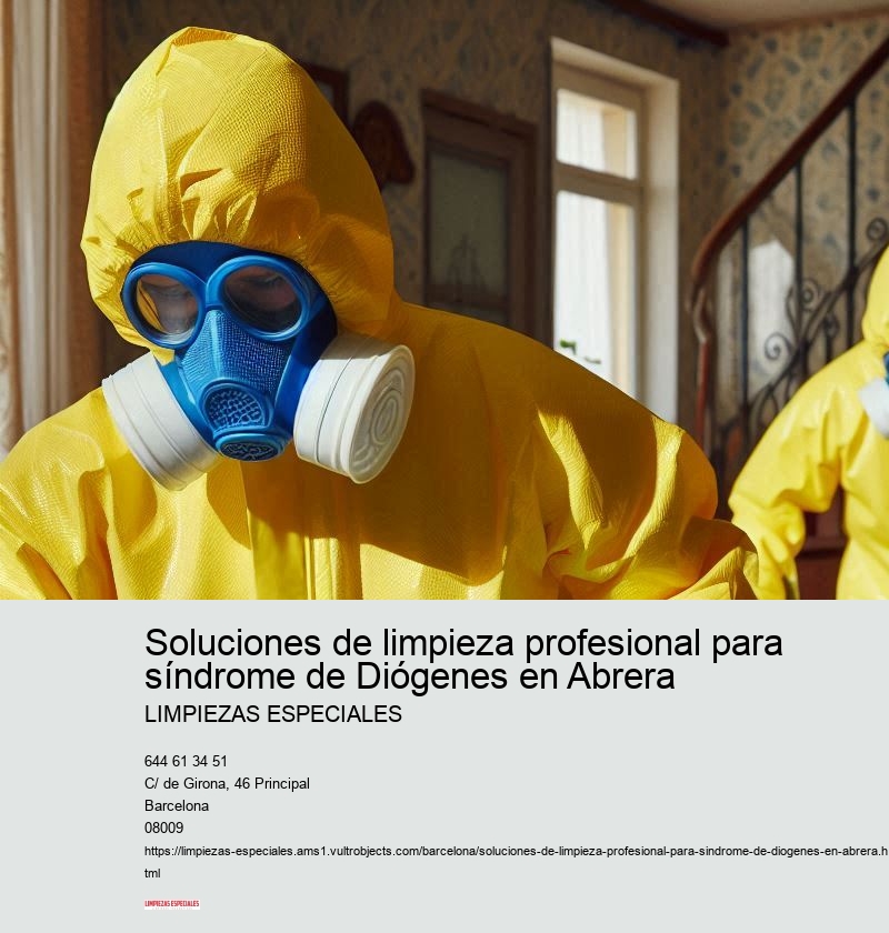 Planificación y logística de una limpieza profesional