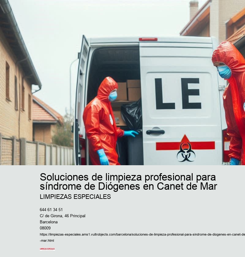 Limpieza profunda y mantenimiento regular