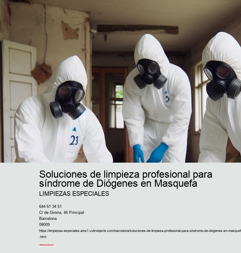 Servicios adicionales de Limpiezas Especiales