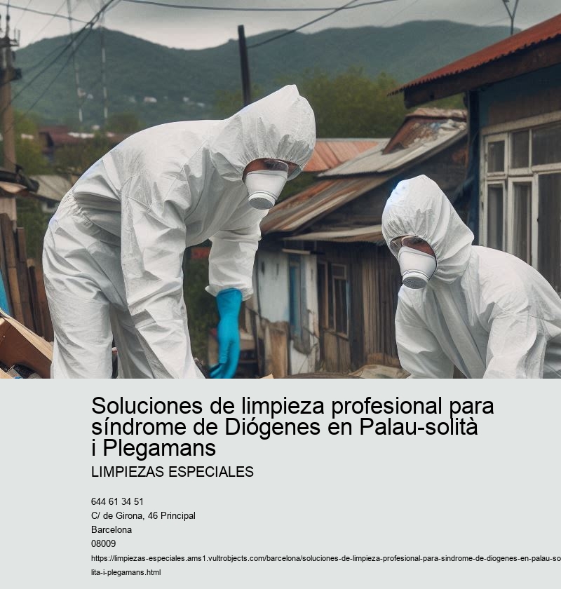 Limpieza especializada para el síndrome de Diógenes en Palau-solità i Plegamans