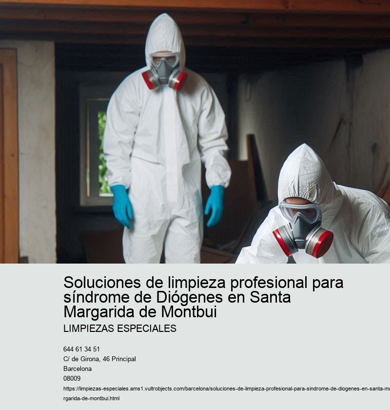 Planificación y logística de una limpieza profesional