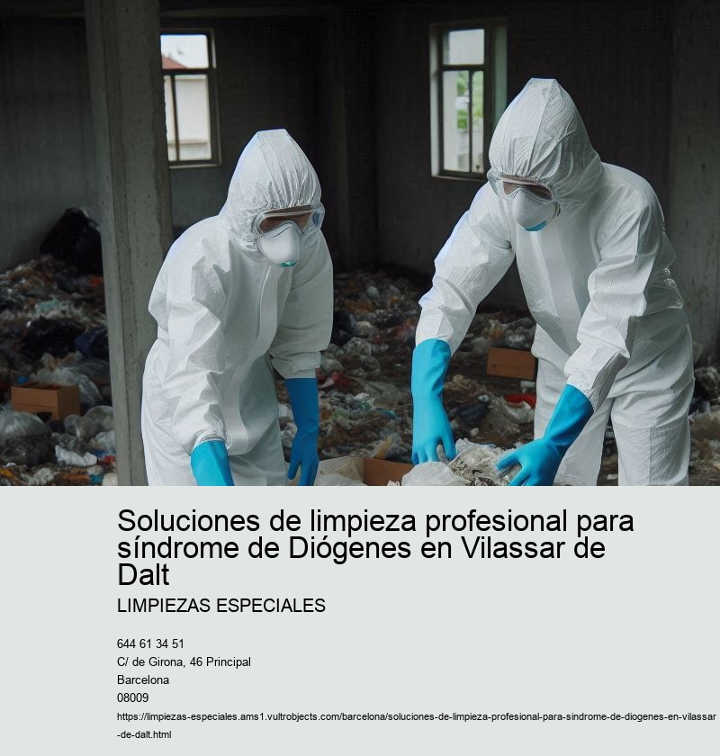 El papel de los servicios sociales en el síndrome de Diógenes
