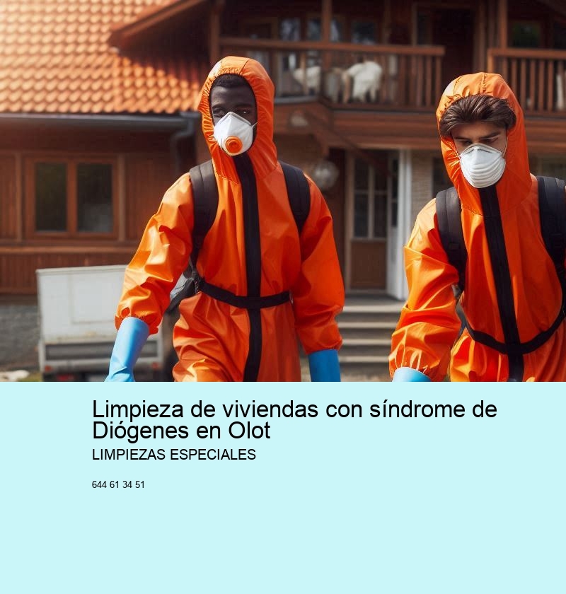 Limpieza de viviendas con síndrome de Diógenes en Olot