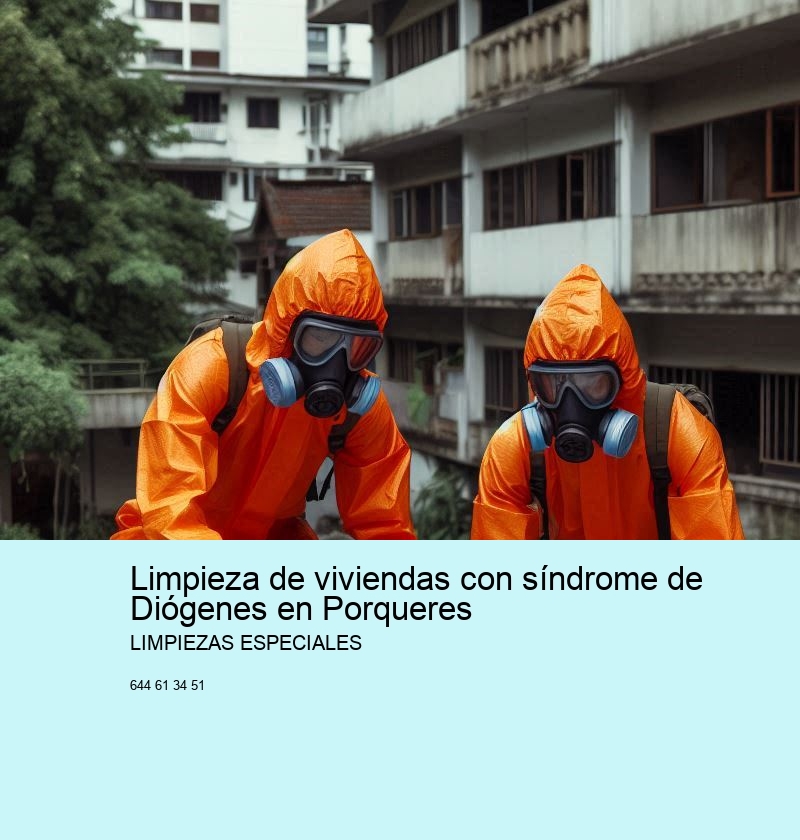 Limpieza de viviendas con síndrome de Diógenes en Porqueres