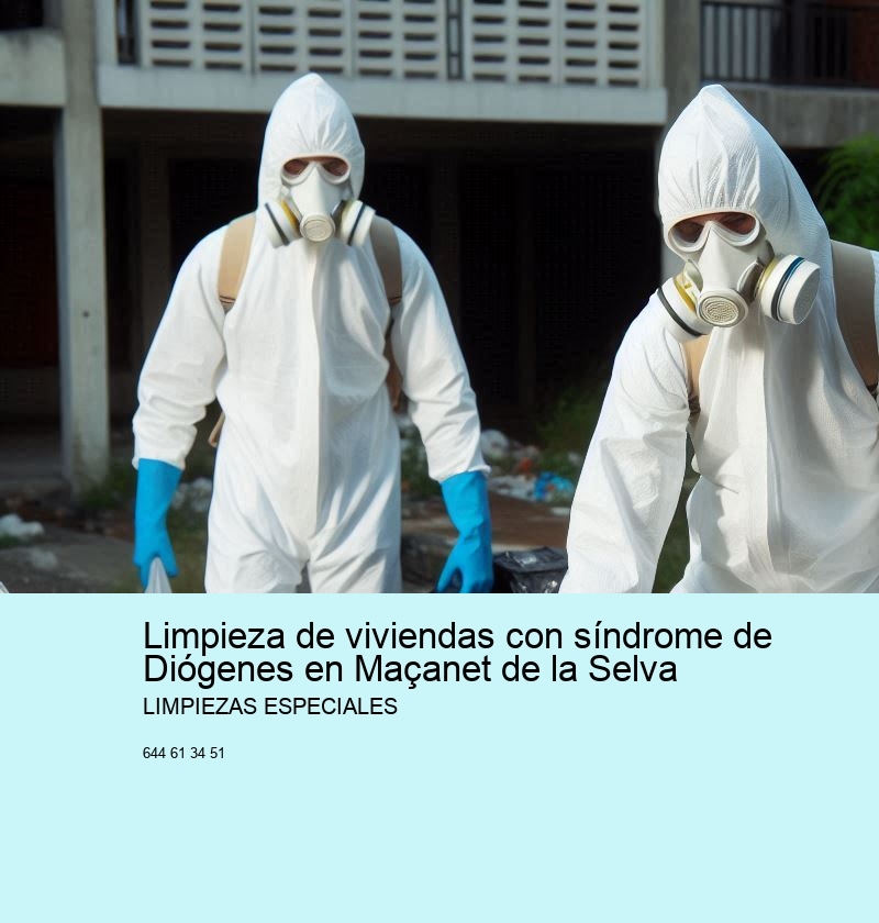 Servicios adicionales de Limpiezas Especiales