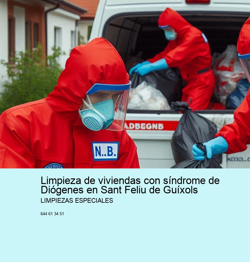 Planificación y logística de una limpieza profesional